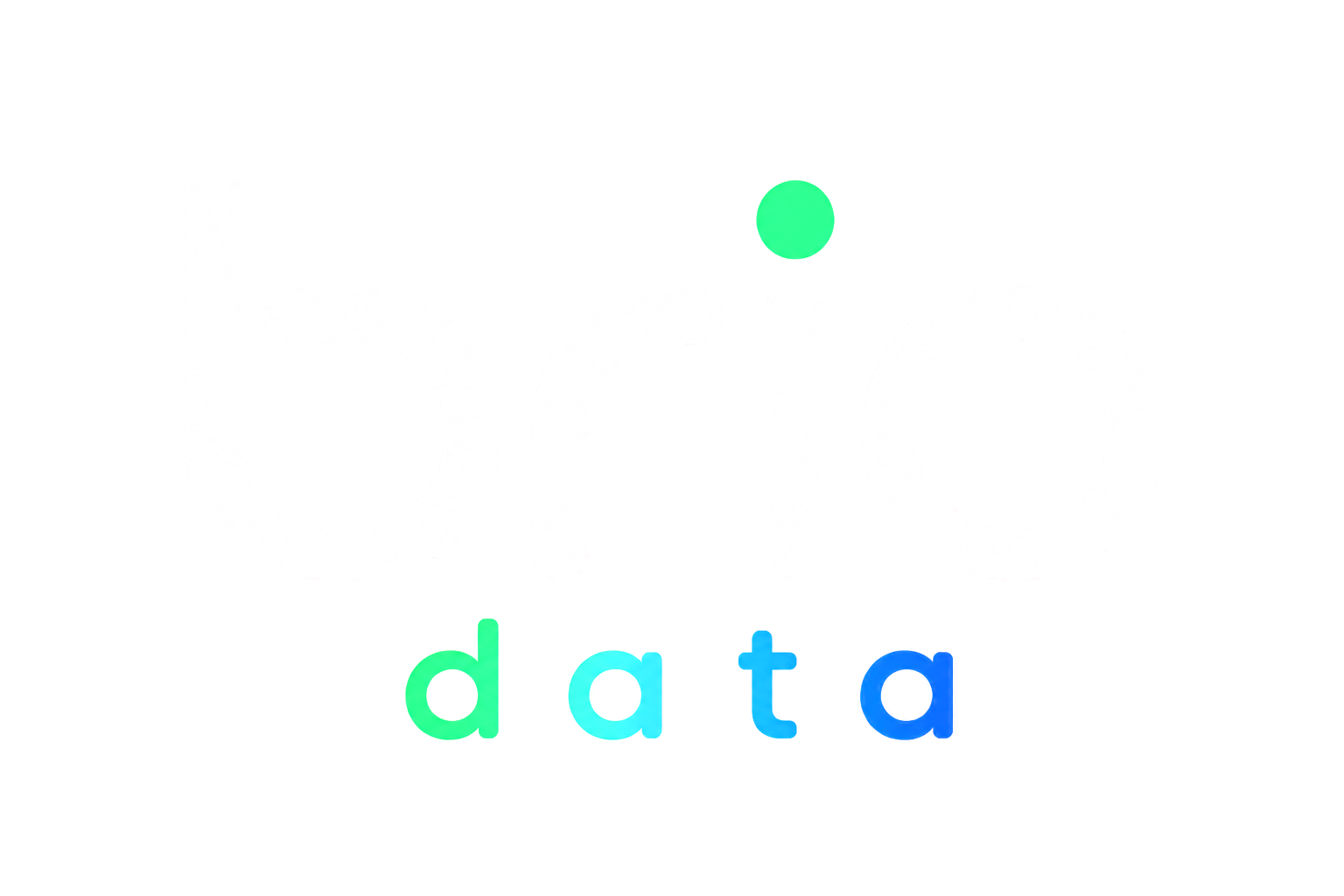 Brio Data